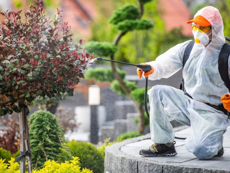 Hasanbeyli Haşere İlaçlama